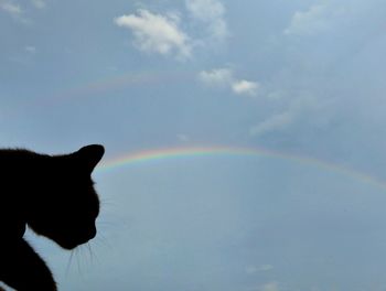 Close-up of rainbow against sky