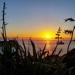 Scenic view of sea against romantic sky at sunset
