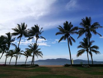 Palm trees on beach against sky