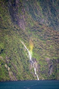 View of waterfall in forest