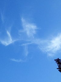 Low angle view of vapor trail in sky