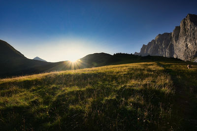 Scenic view of field against bright sun