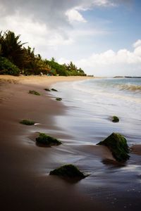 View of beach