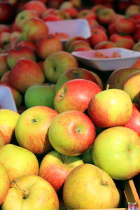 Full frame shot of fruits for sale at market stall