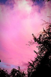 Silhouette of trees against cloudy sky