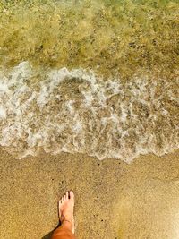 Low section of person at sea shore