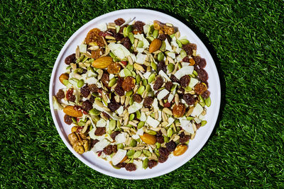 Directly above shot of dried fruits in plate on grassy field