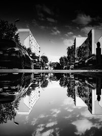 Reflection of trees in water against sky