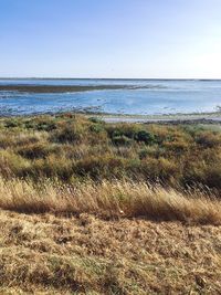 Scenic view of sea against clear sky