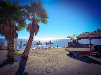 Palm trees on beach against sky