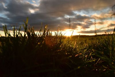 Scenic view of field against sky at sunset
