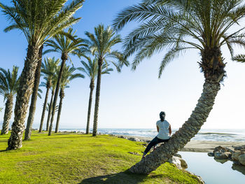 Woman sitting on the curved trunk of a palm tree on the beach of