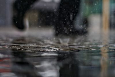 Close-up of raindrops on water