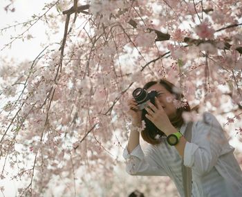 Low angle view of woman photographing below cherry blossoms at park