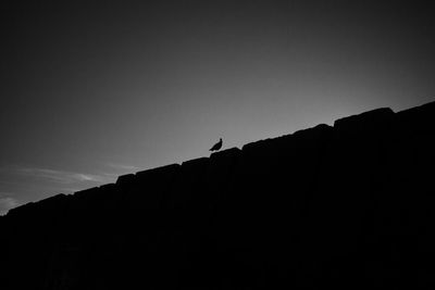 Low angle view of bird perching on building against sky