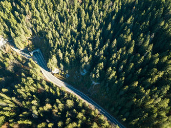 Aerial view of landscape