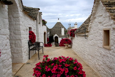 View of a group of beautiful trulli, traditional apulian dry stone hut, in alberobello, italy