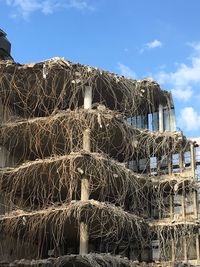 Stack of hay bales against sky