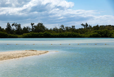 water