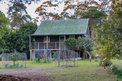 Built structure in a forest