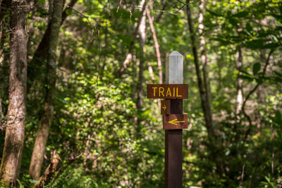 Information sign on tree trunk in forest