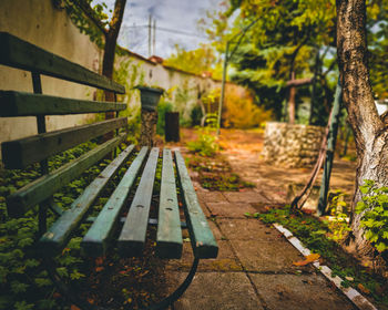 Empty wooden bench in park