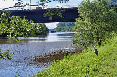 Scenic view of lake