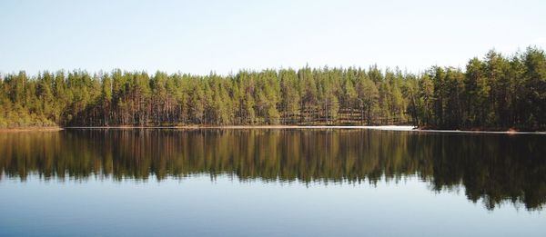 Scenic view of lake in forest against clear sky