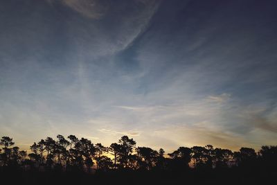 Silhouette trees against sky during sunset