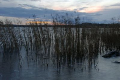 Scenic view of frozen lake against sky