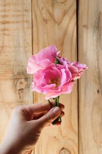 Cropped image of person holding pink flower against wooden wall