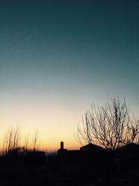 Bare trees at sunset