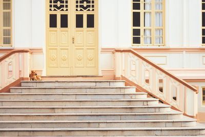 Staircase in front of building