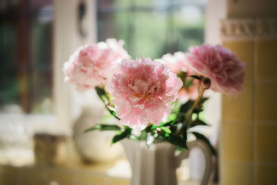 Close-up of pink flowers in vase
