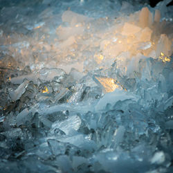 Snow covered landscape