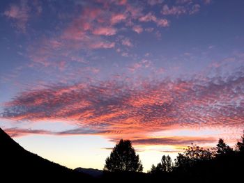 Low angle view of silhouette trees against dramatic sky