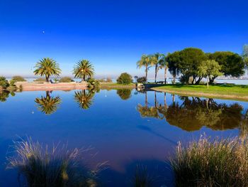 Scenic view of lake against clear blue sky