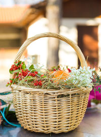 Close-up of potted plant in basket on table