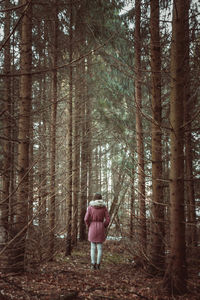 Rear view of woman standing amidst bare trees in forest