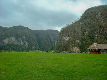 Scenic view of field and trees against sky