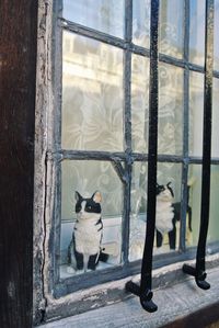 Cat figurines and wineglass on window