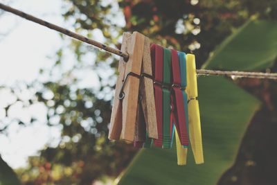 Close-up of clothes pins hanging on rope