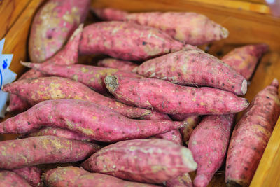 Close-up of pink for sale in market