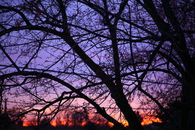 Low angle view of silhouette trees against sky at sunset