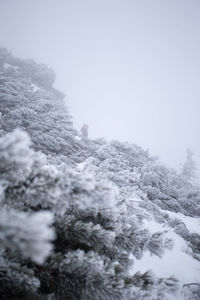 Scenic view of snow covered landscape against clear sky