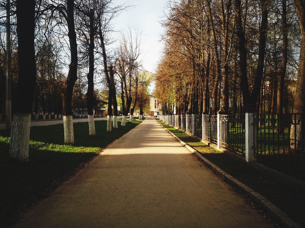 the way forward, tree, diminishing perspective, vanishing point, treelined, tranquility, road, tranquil scene, nature, transportation, growth, footpath, tree trunk, long, empty, empty road, in a row, beauty in nature, scenics, park - man made space