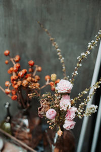 Cotton plants and flowers