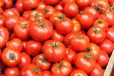 High angle view of tomatoes for sale at market stall