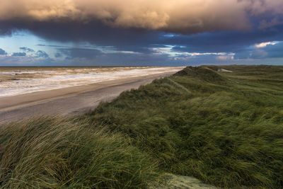 Scenic view of beach against sky