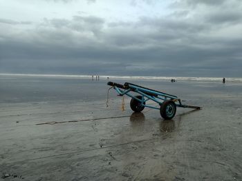 Horse cart on beach against sky